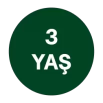 3Yaş